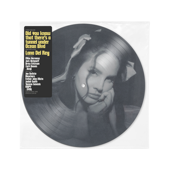 Did you know that there’s a tunnel under Ocean Blvd Exclusive Picture Disc 2LP